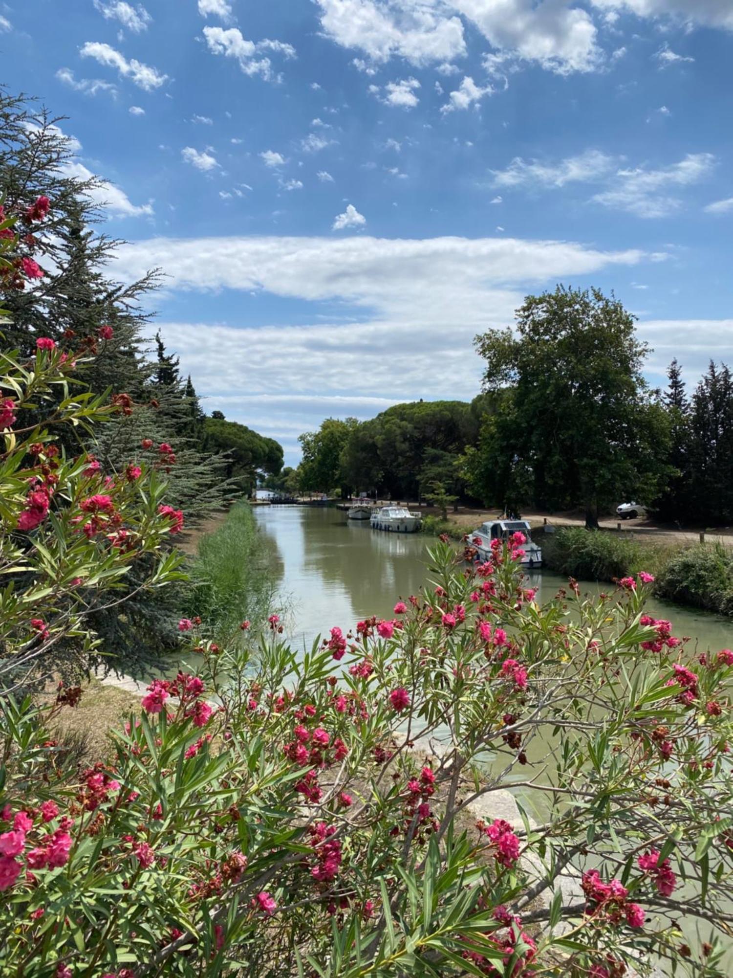Bed and Breakfast Le Relais D'Affiac Peyriac-Minervois Esterno foto